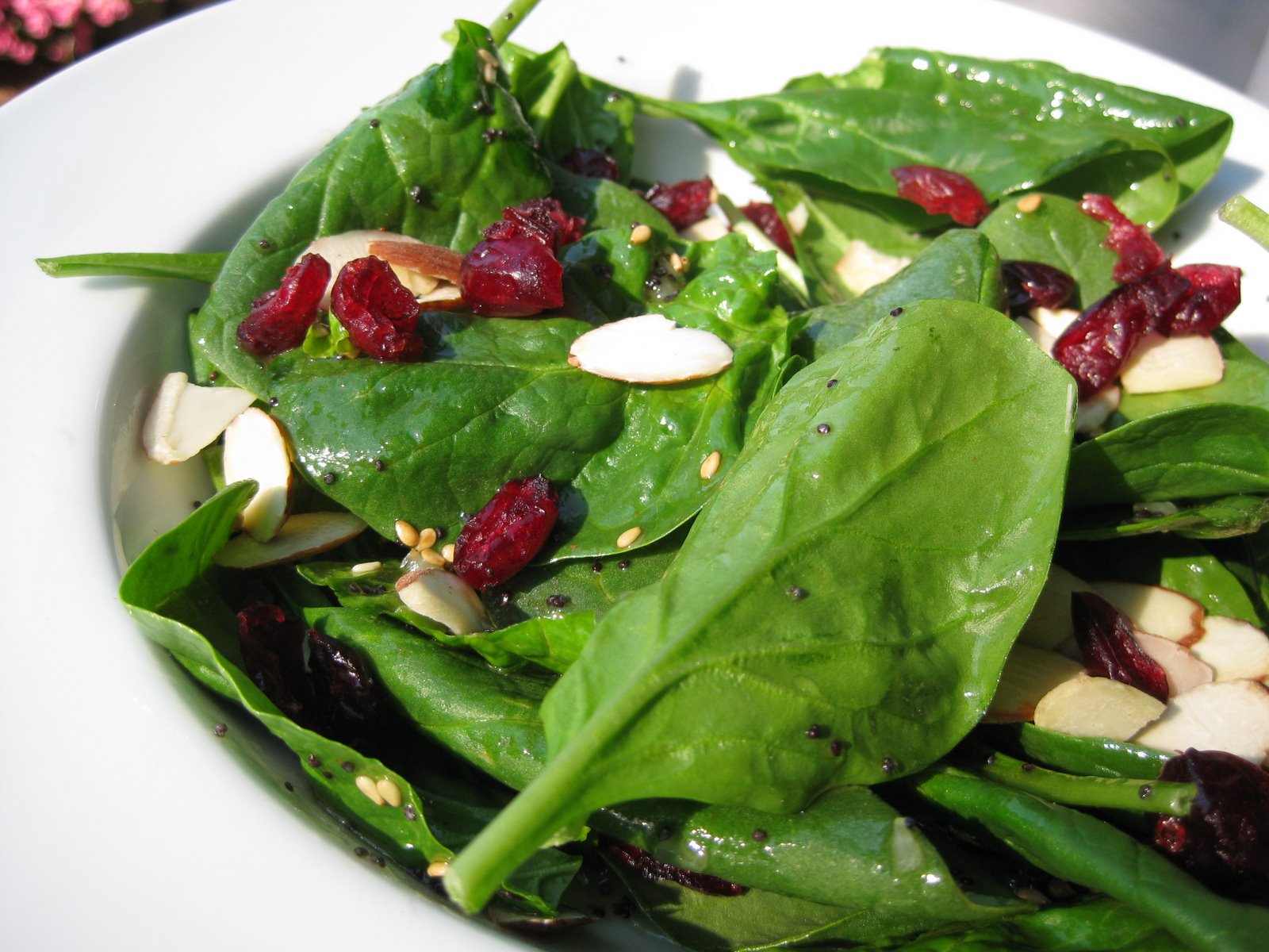 Cranberry Spinach Salad, Revisited | A Hint of Honey